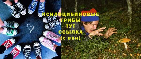 СК Алзамай