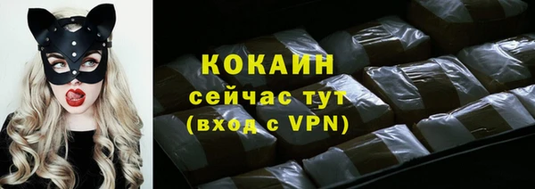 стаф Абаза