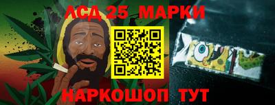 jwh Новозыбков