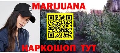 jwh Новозыбков