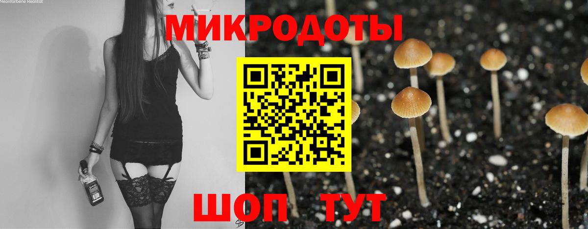 Галлюциногенные грибы Psilocybine cubensis Усть-Лабинск