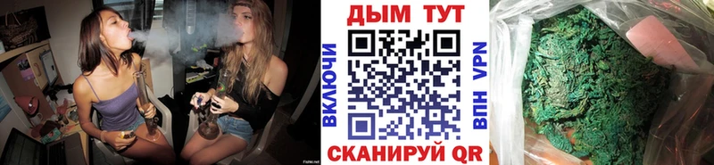 Бошки марихуана семена  гидра как зайти  Усть-Лабинск 
